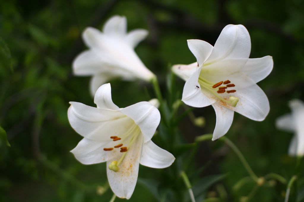 名古屋市農業センターにて　