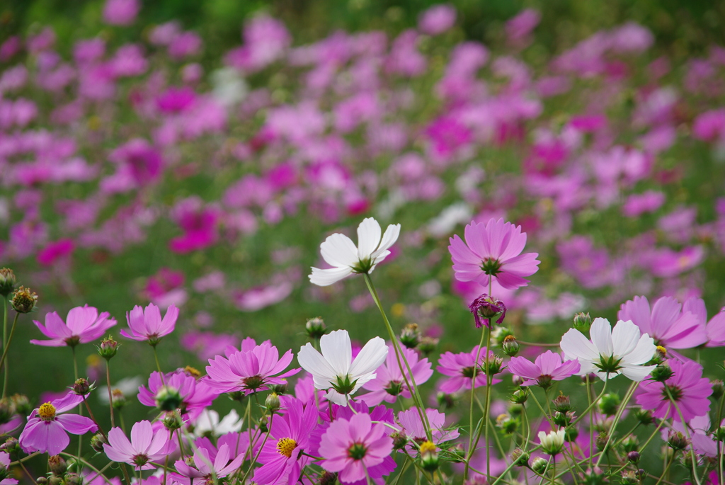 みどりが丘公園にて　
