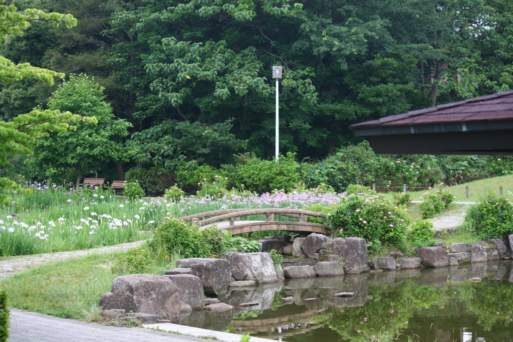 大高緑地公園にて