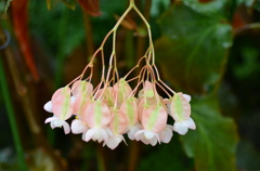 名古屋市農業センターにて　