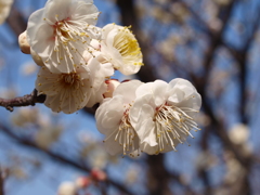 大高緑地公園にて