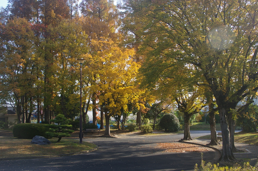 名古屋市農業センターにて