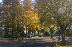 名古屋市農業センターにて