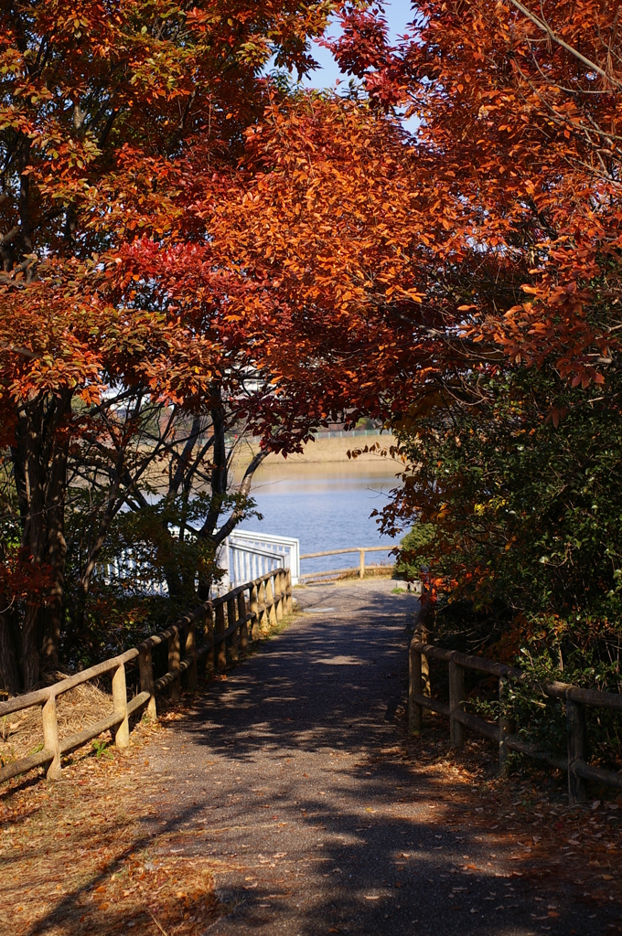 大高緑地公園にて