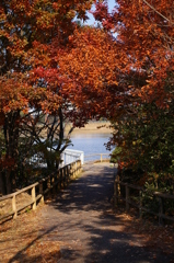 大高緑地公園にて