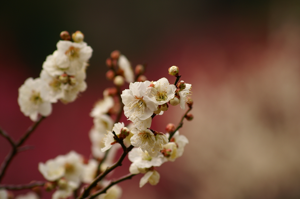 大高緑地公園にて