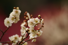 大高緑地公園にて