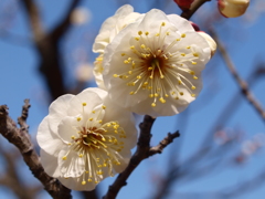 大高緑地公園にて