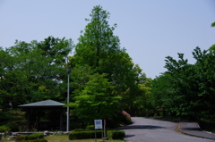 大高緑地公園にて　