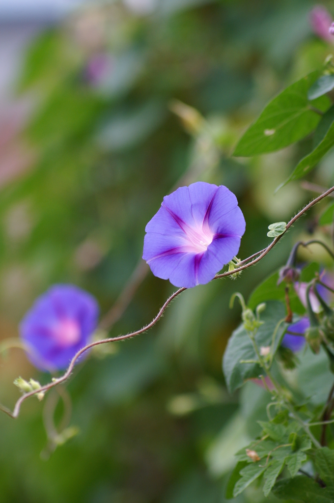 名古屋市農業センターにて　