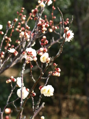 大高緑地公園にて