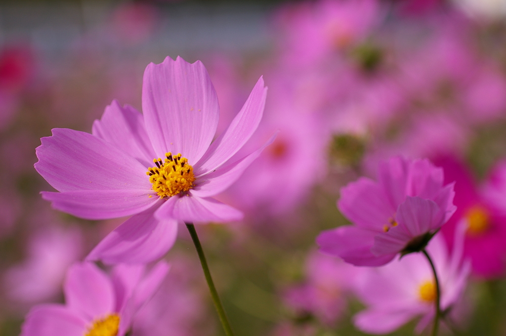 みどりが丘公園にて　