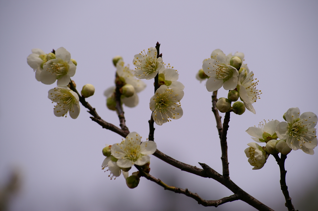 大高緑地公園にて　