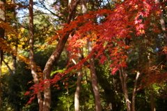 名古屋市農業センターにて