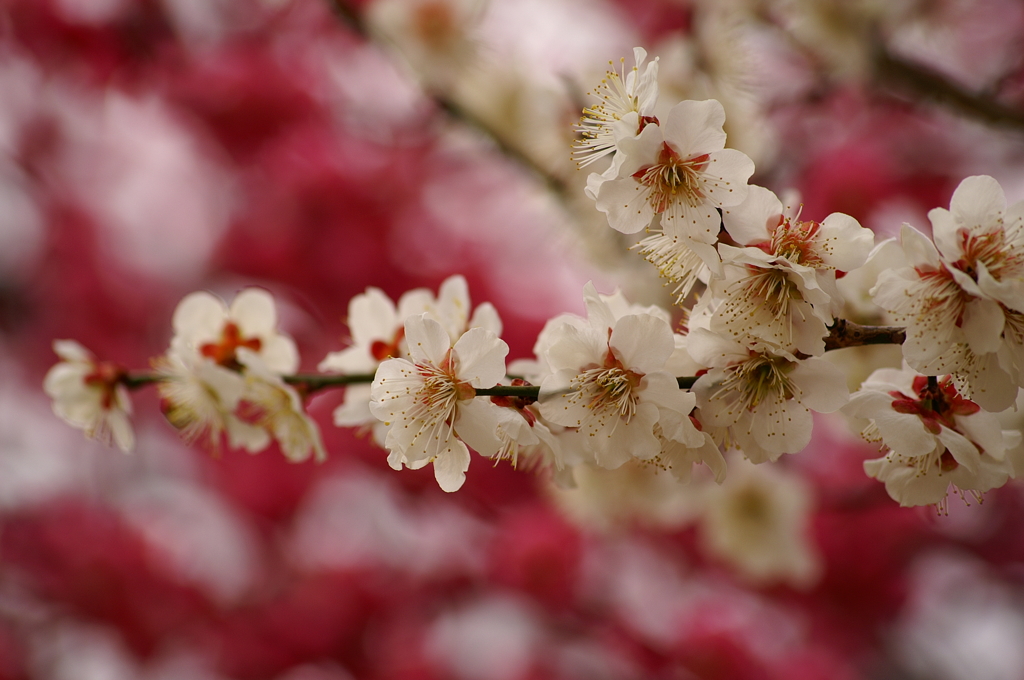 大高緑地公園にて　