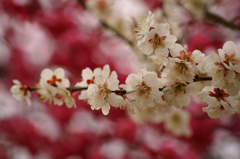大高緑地公園にて　