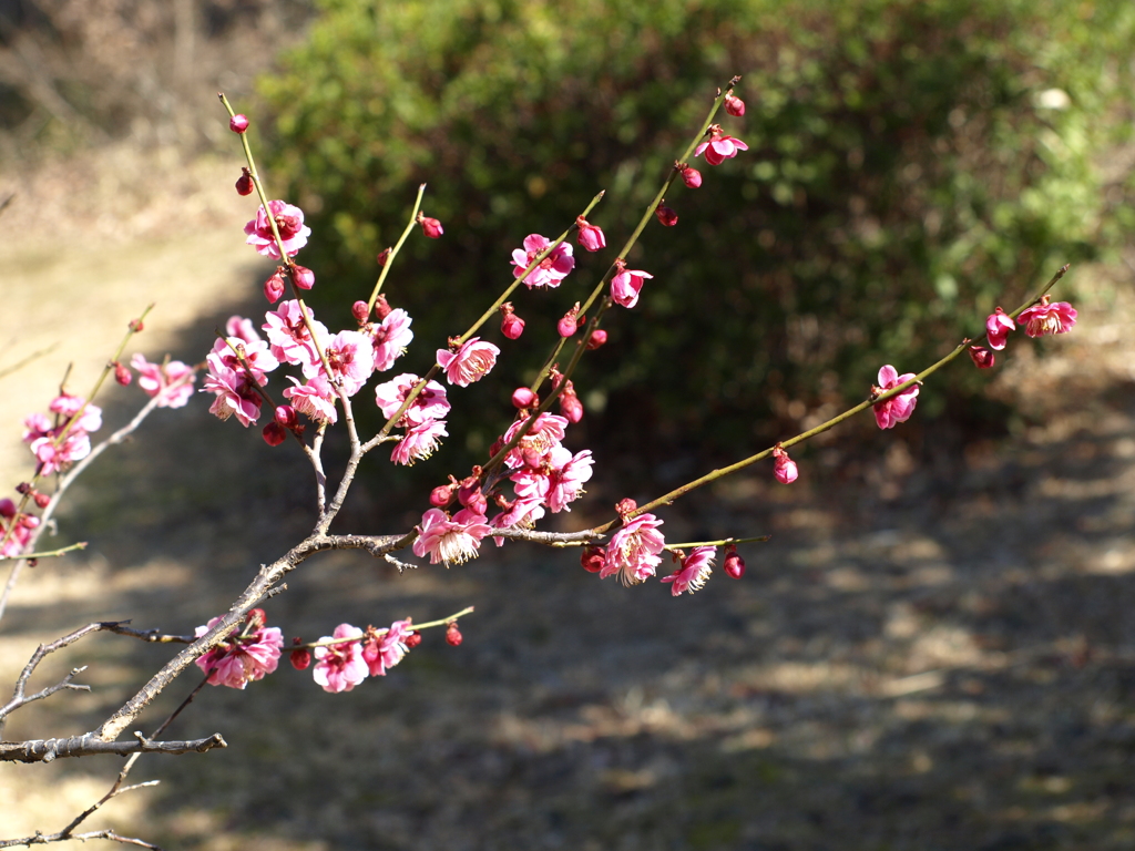 大高緑地公園にて　