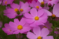 みどりが丘公園にて　