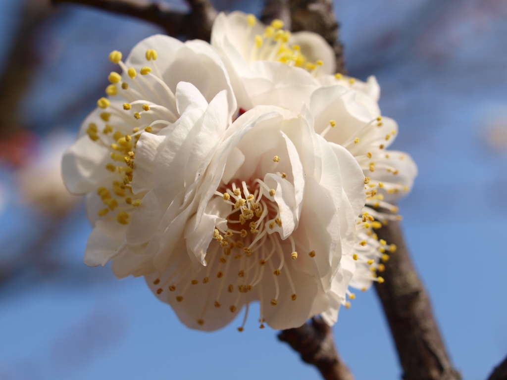大高緑地公園にて