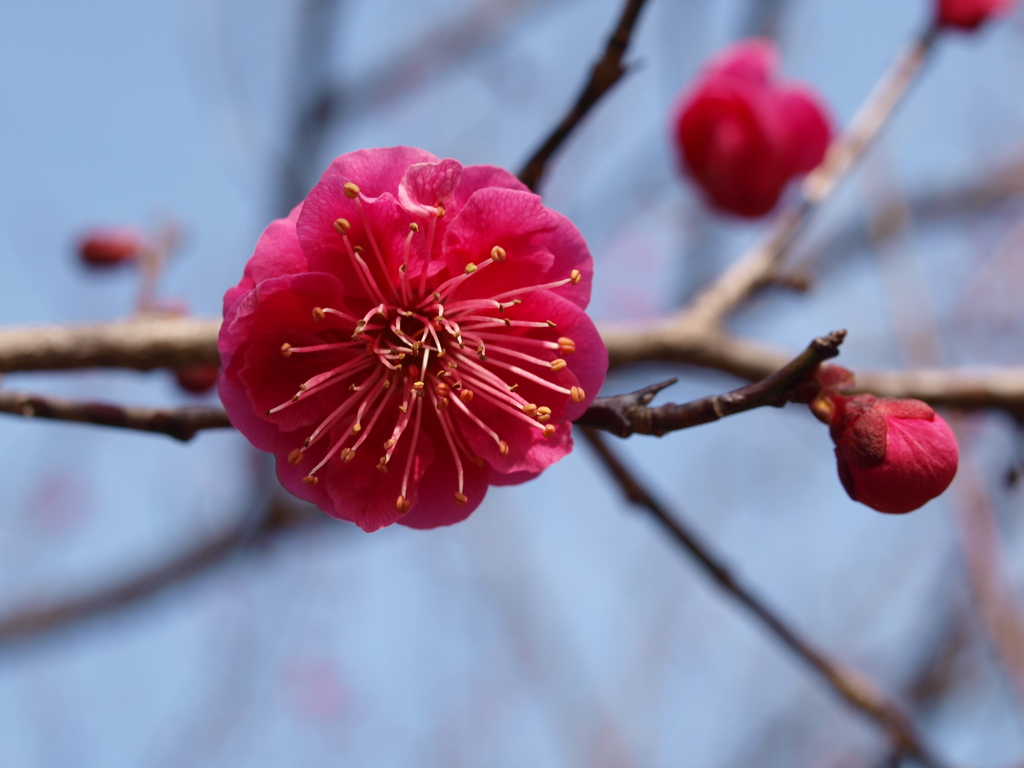 大高緑地公園にて