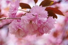 大高緑地公園にて　