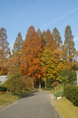 名古屋市農業センターにて