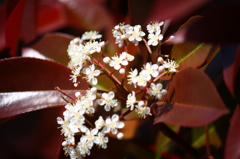 名古屋市農業センターにて