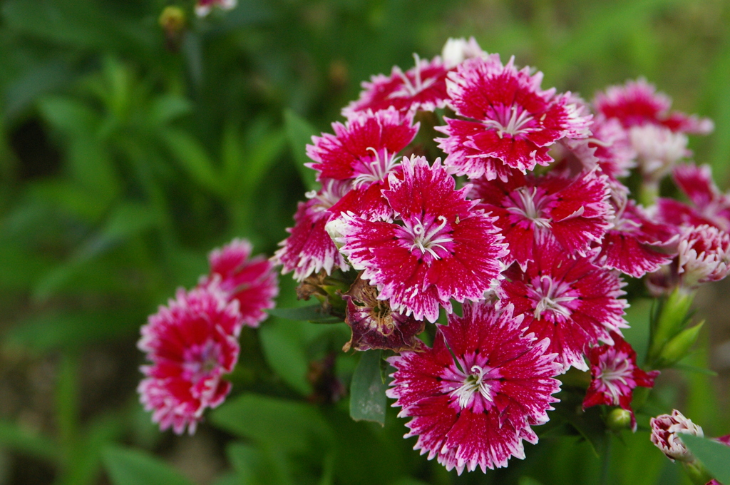 大高緑地公園にて
