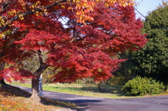 大高緑地公園にて