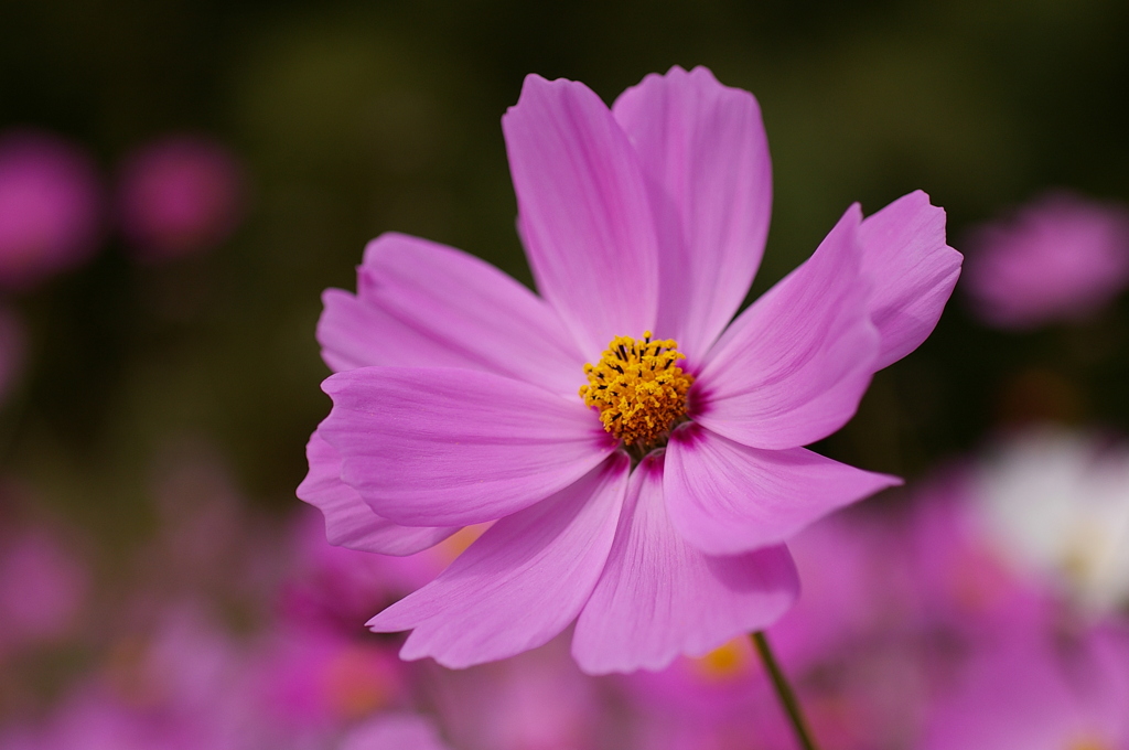 みどりが丘公園にて　
