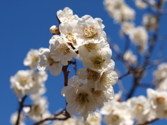 大高緑地公園にて　