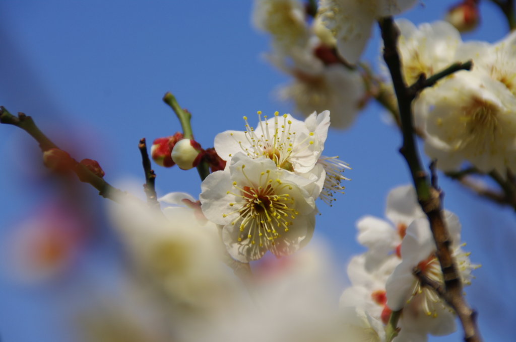 喜びの時を迎えて