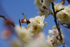 喜びの時を迎えて