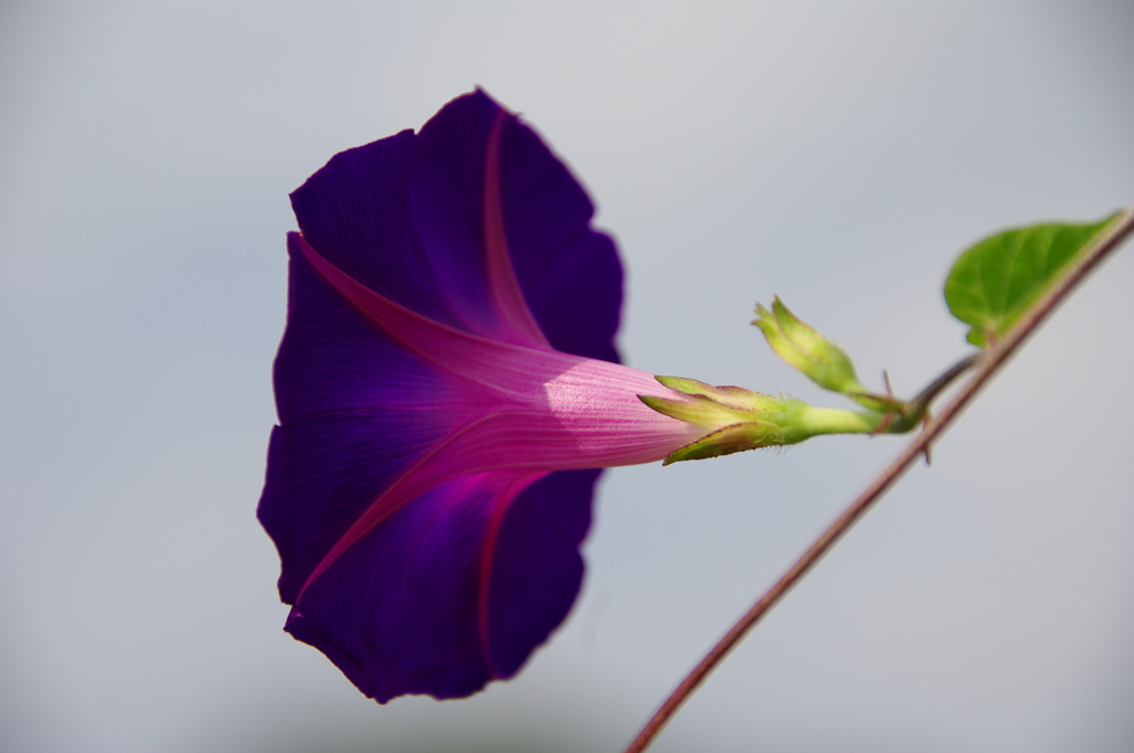 名古屋市農業センターにて　
