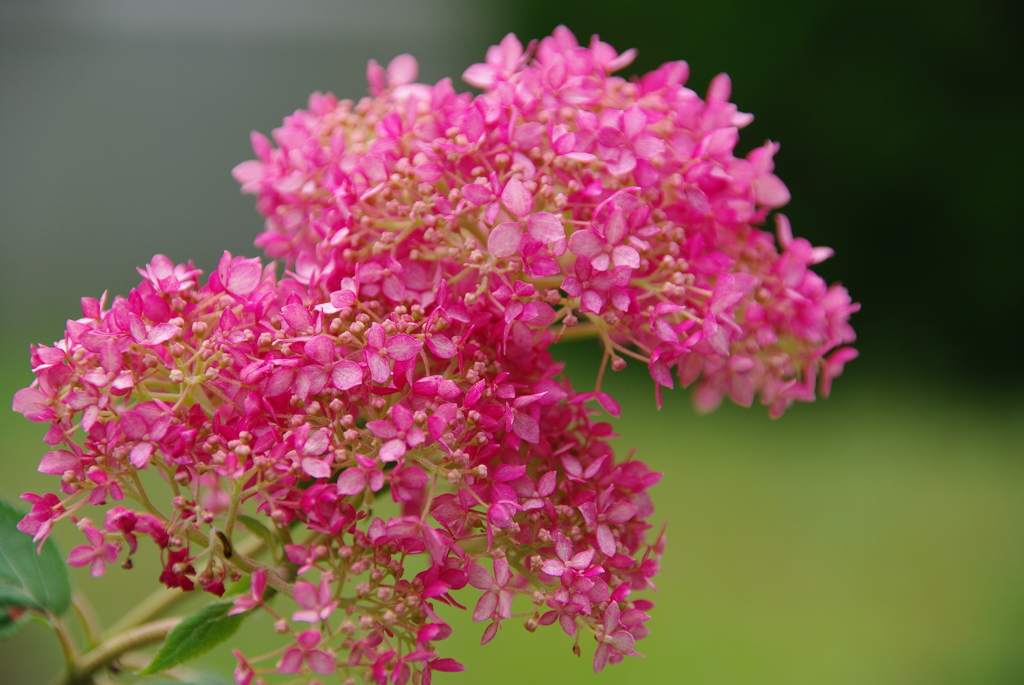 名古屋市農業センターにて　