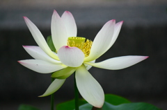 名古屋市農業センターにて　