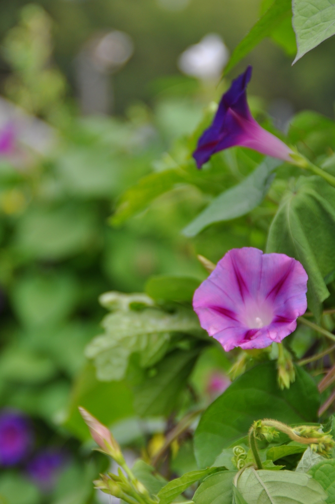 名古屋市農業センターにて　