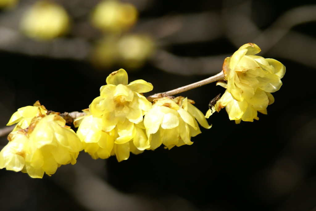 名古屋市農業センターにて
