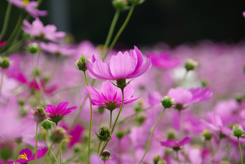 みどりが丘公園にて　