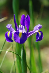 名古屋市農業センターにて　