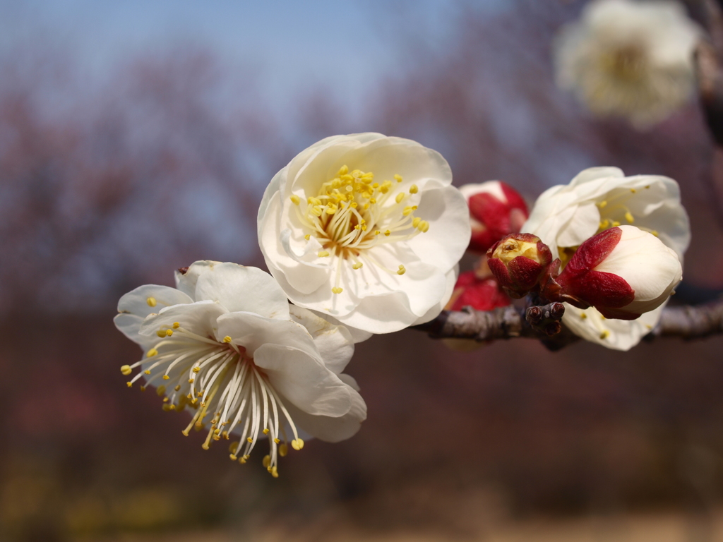 大高緑地公園にて