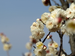 大高緑地公園にて