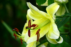 名古屋市農業センターにて　