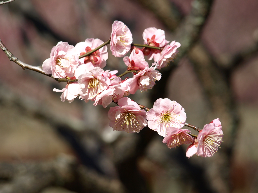 大高緑地公園にて　
