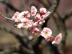 大高緑地公園にて　