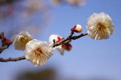 大高緑地公園にて