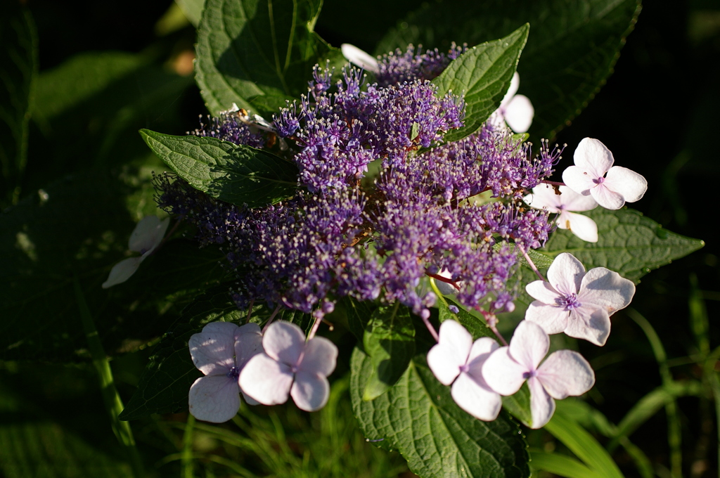 大高緑地公園にて　
