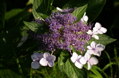 大高緑地公園にて　