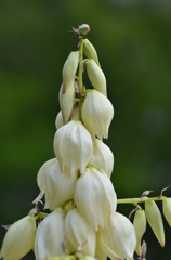 大高緑地公園にて　