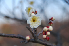 大高緑地公園にて　